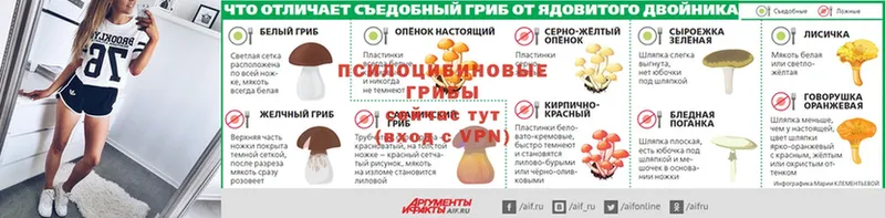 Псилоцибиновые грибы MAGIC MUSHROOMS  как найти наркотики  Биробиджан 